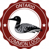 Ontario_ common loon_Red Leaf